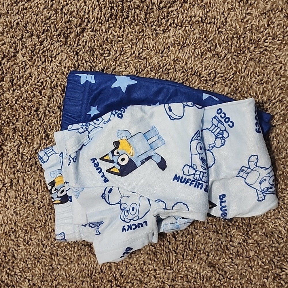 Bluey Pajama Set